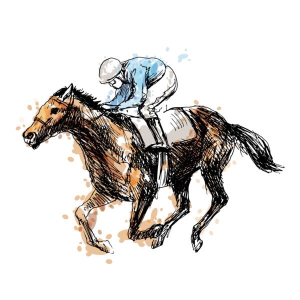 'A Day at the Races' event - Monday, 17 July: The ultimate guide to the style, substance and stakes of flat racing goo.gl/o1cdv8