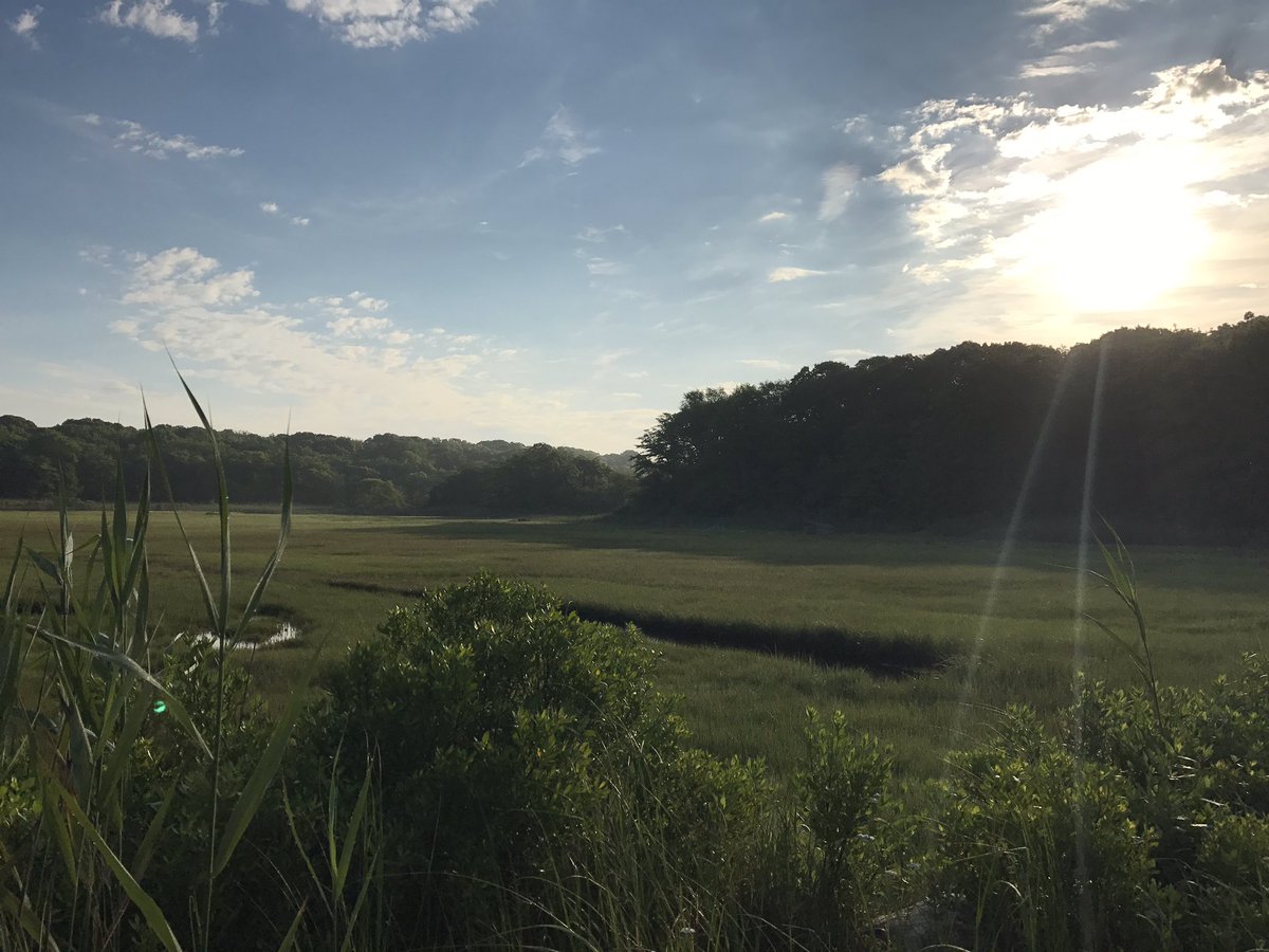 rcoast911's tweet photo. Listening to my favorite album "Planetary Coalition by @AlexSkolnick - for a moment there is peace in the world on my walk 🌎 https://t.co/e7ih0L9EcI
