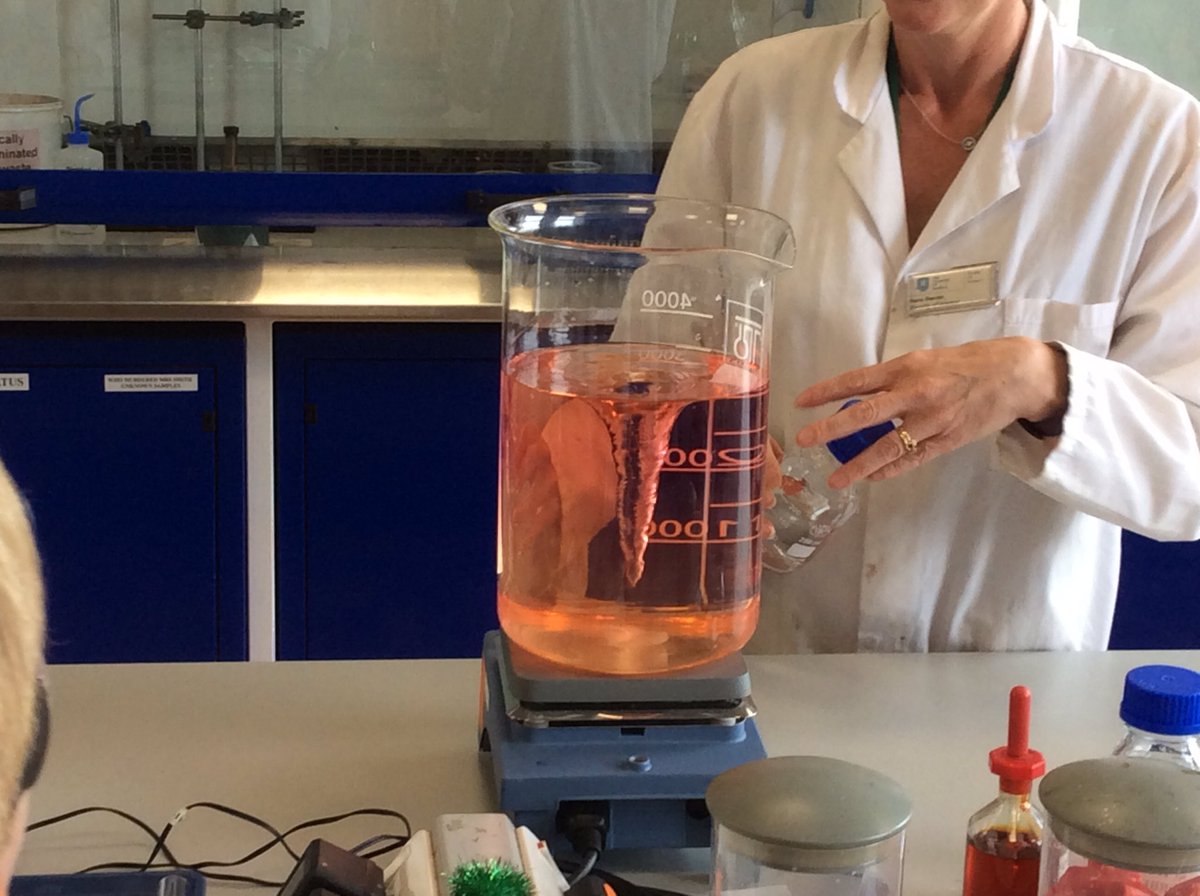 Y5MVP's tweet photo. What a fantastic day! We've had a great day watching reactions and we made a bath bomb at Sheffield University. https://t.co/VQSx0vX3zK
