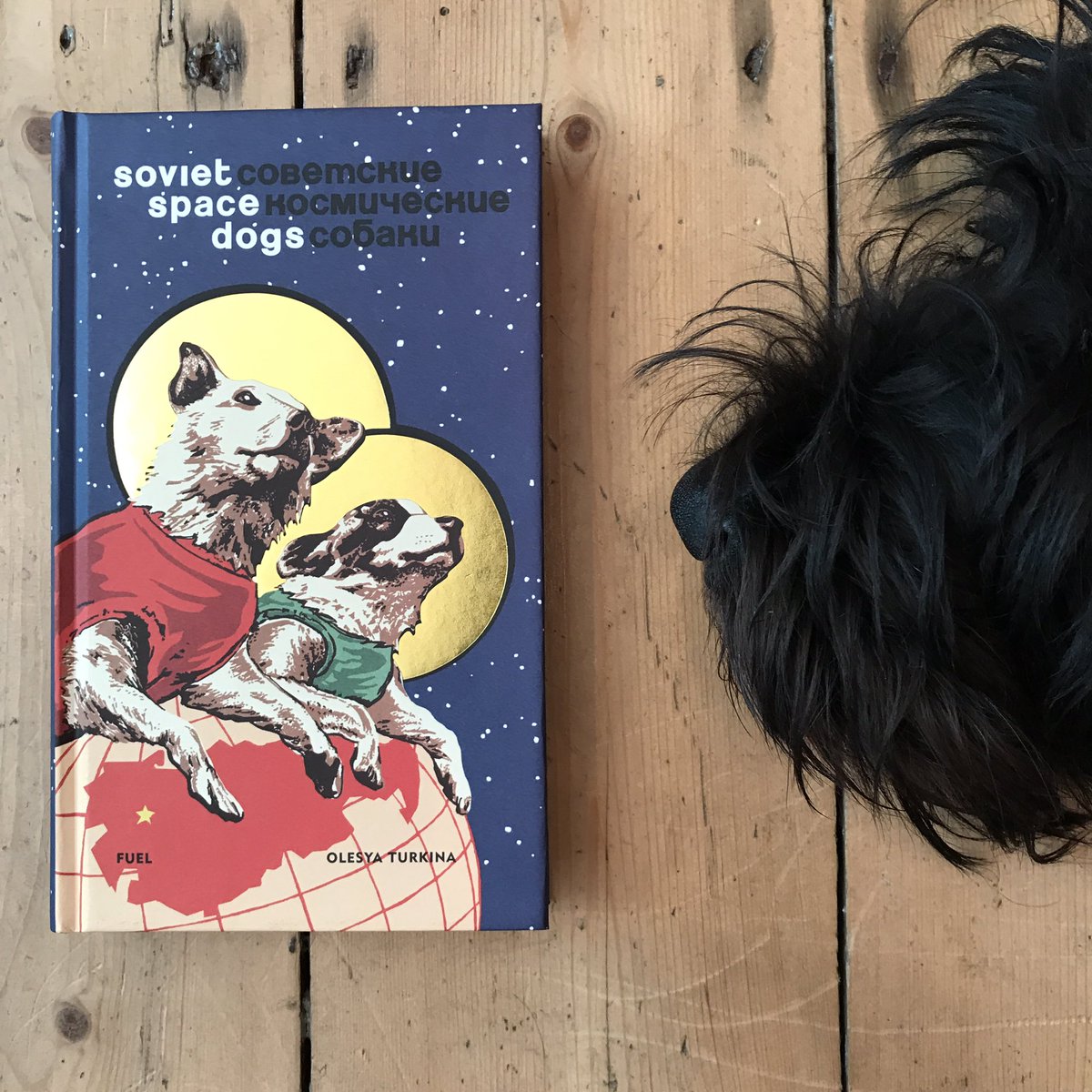 Rye_Books's tweet photo. George's book choice this week...#sovietspacedogs by #olesyaturkina #fuelpublishing #bookshopdog #dogsinspace https://t.co/Tu0QGWg7fl