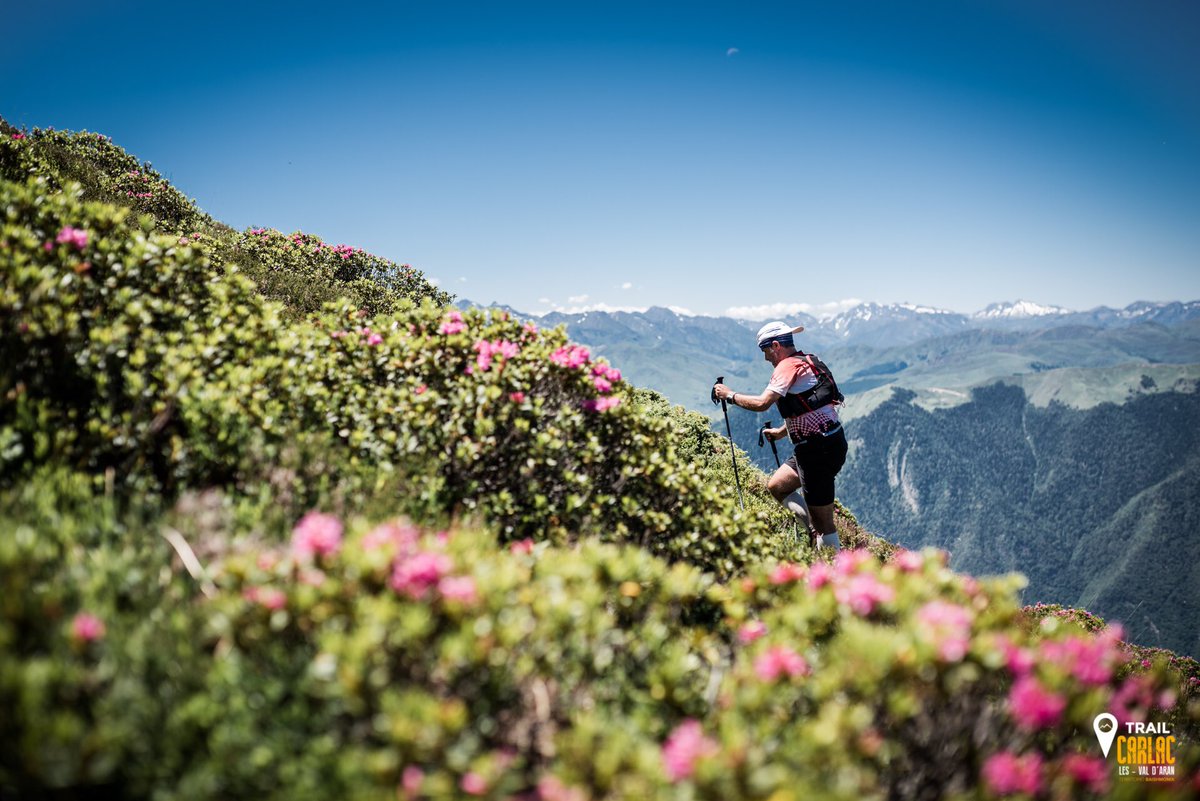 montludeskyrace's tweet photo. Así fue el paso de nuestr@s valientes por #TrailCarlac y así lo vivió Elena del #SigmaMediaTeam 
📷@ematefotografia con @SigmaPhotoSpain https://t.co/DsIZ4niBfM