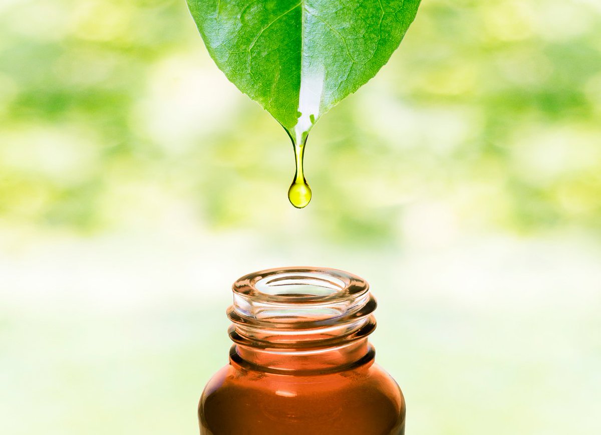 Medisite's tweet photo. #Aphte de gencive : l'huile essentielle de #teatree comme remède https://t.co/pyJ8tWZEAe https://t.co/zfxGSxkL4v