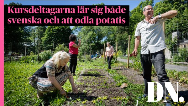 Här är plantskolan där det odlas svenska.
dn.se/sthlm/har-odla…