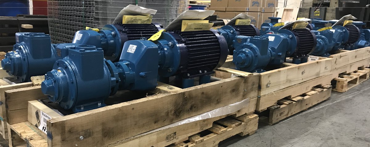 BaseTekLLC's tweet image. Blackmer vane pump model GNX2.5 pumps mounted
on BaseTek PoxyBases heading out to war! #pump #pumpbases