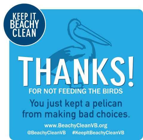 BeachyCleanVB's tweet photo. #KeepItBeachyCleanVB by not feeding the birds at the beach or anywhere! Overfed birds can affect #waterquality and cause beach closures. https://t.co/PtmlmSiuPY