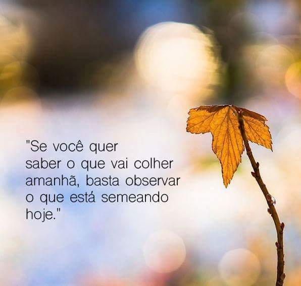 DanielaReis Tim Beta (@dannyapreis) on Twitter photo 