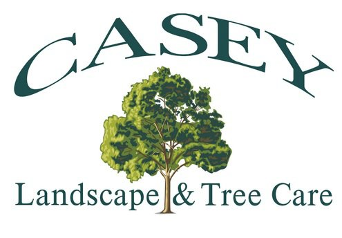 Casey Landscape tweet media