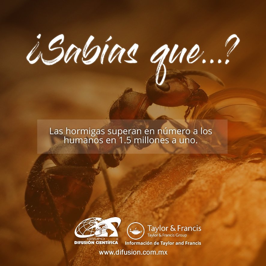 DifusionC_mx's tweet photo. #SabíasQue #Curiosidades #Informacon #TaylorandFrancis de #GrupoDifusiónCientífica https://t.co/ZUdKImUUAW