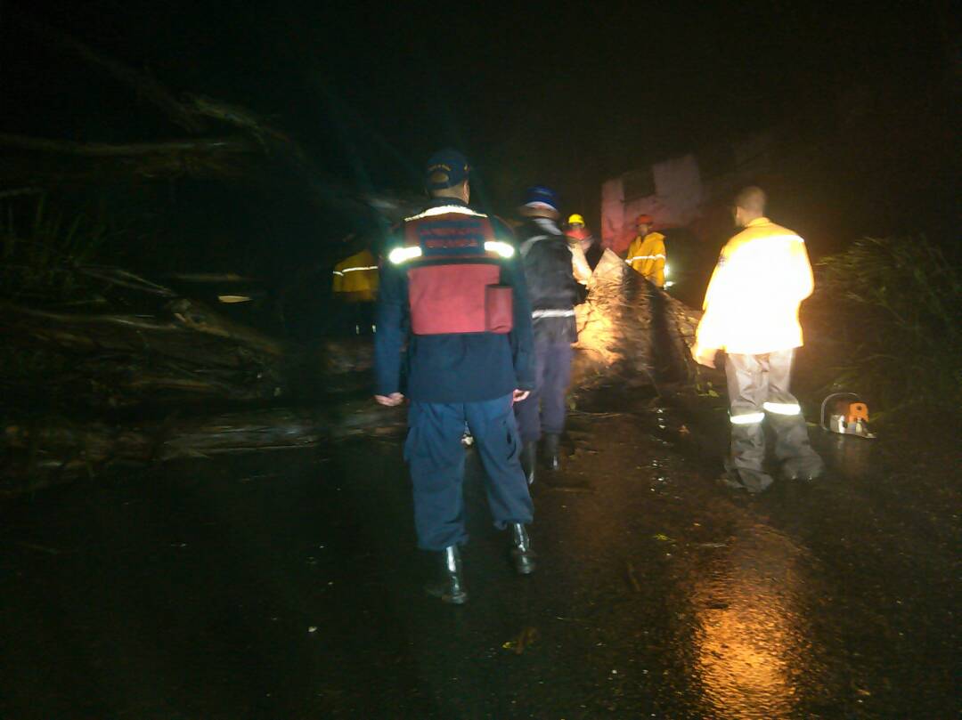 PCADMiranda's tweet photo. En horas de la madrugada funcionarios de #PCMiranda,#PCLos Salías, #BomberosdeMiranda #Corpoelec realizaron tala de árbol,vía Club de Campo https://t.co/laoowmbJBy