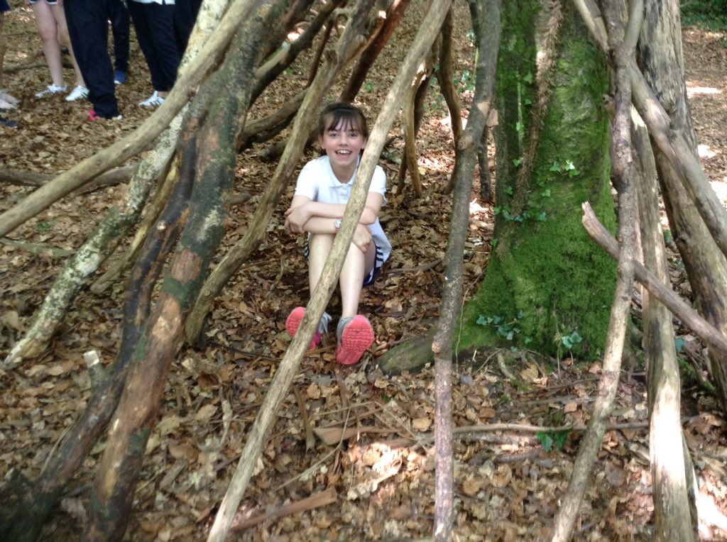 fifthclassa2016's tweet photo. We built survival shelters. https://t.co/4D2url2XLo
