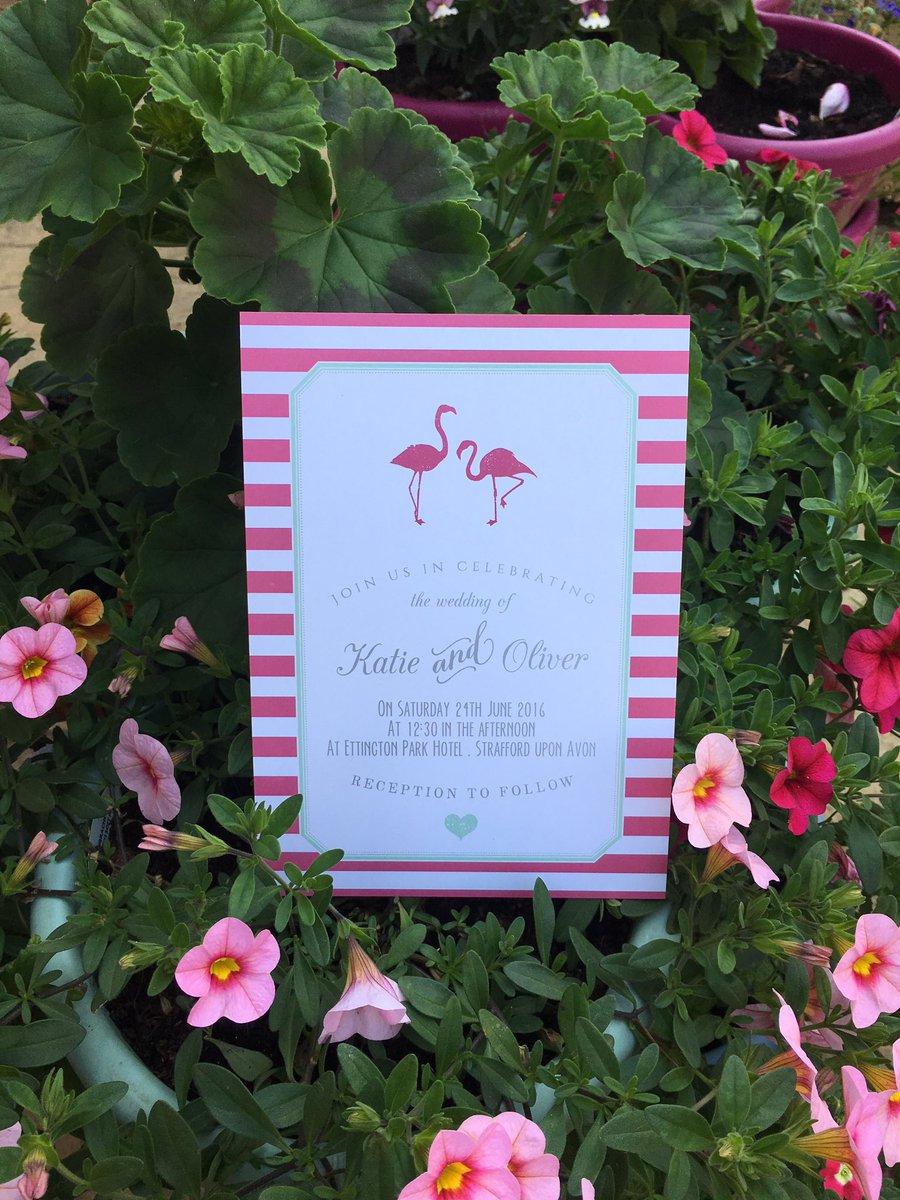 invitationery's tweet photo. Some new invite designs perfect for a summer wedding. #weddings #floral #tropical #nautical https://t.co/mjarhw2TIT
