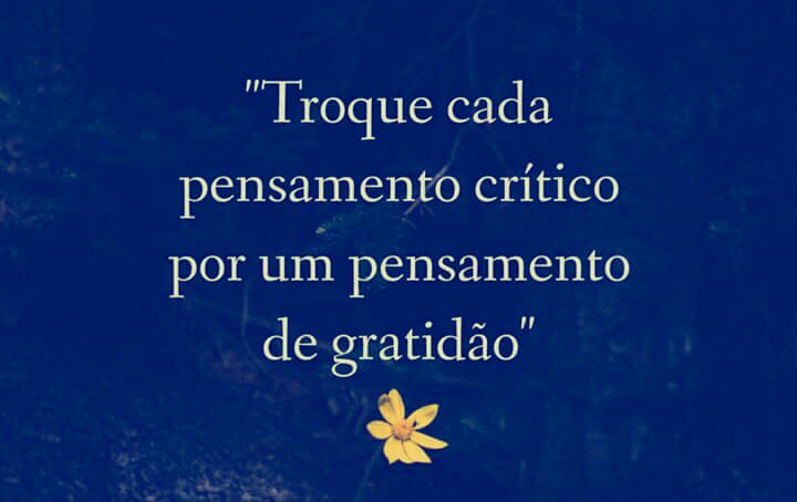 DanielaReis Tim Beta (@dannyapreis) on Twitter photo 