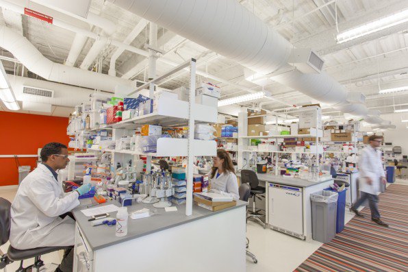 AnyaBurkart's tweet photo. @LabCentral is growing to meet demand for #biotech #startup space. https://t.co/0LyB7ImIec https://t.co/rEbqMfTFqr