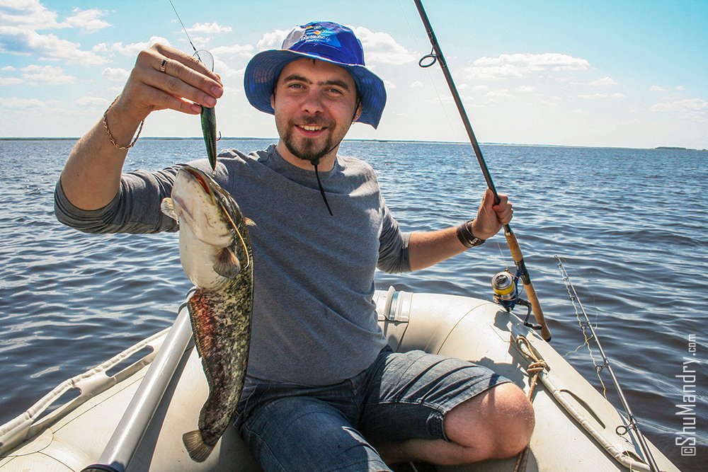 ShuMandry's tweet photo. Как мы трофейного сома ловили))
Полный отчет 👉 https://t.co/Tt9PFmZ2Ol
#shumandry #fishing #pike #catfish #Dnepr #Ukraine #Сом #Рыбалка https://t.co/i6FWhs75rb