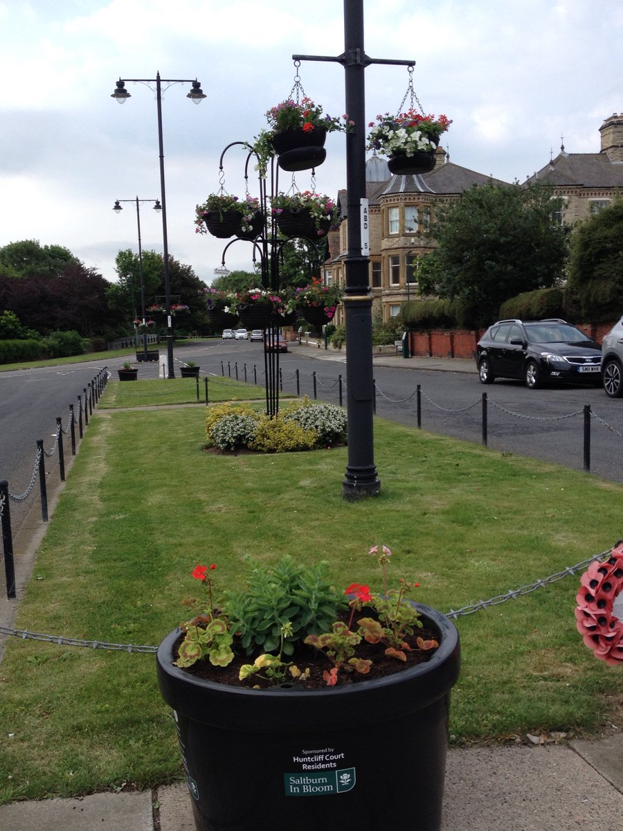 Saltburn in Bloom tweet media