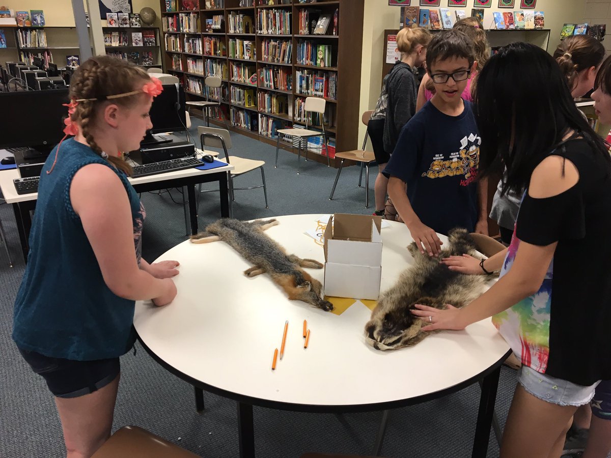 SDJill's tweet photo. Last day of school for South Davis students. Fun stations with the Buffalo Museum of Science! Animal adaptations & CSI! #bfloscience #opcsd https://t.co/0mZe9WF9ab