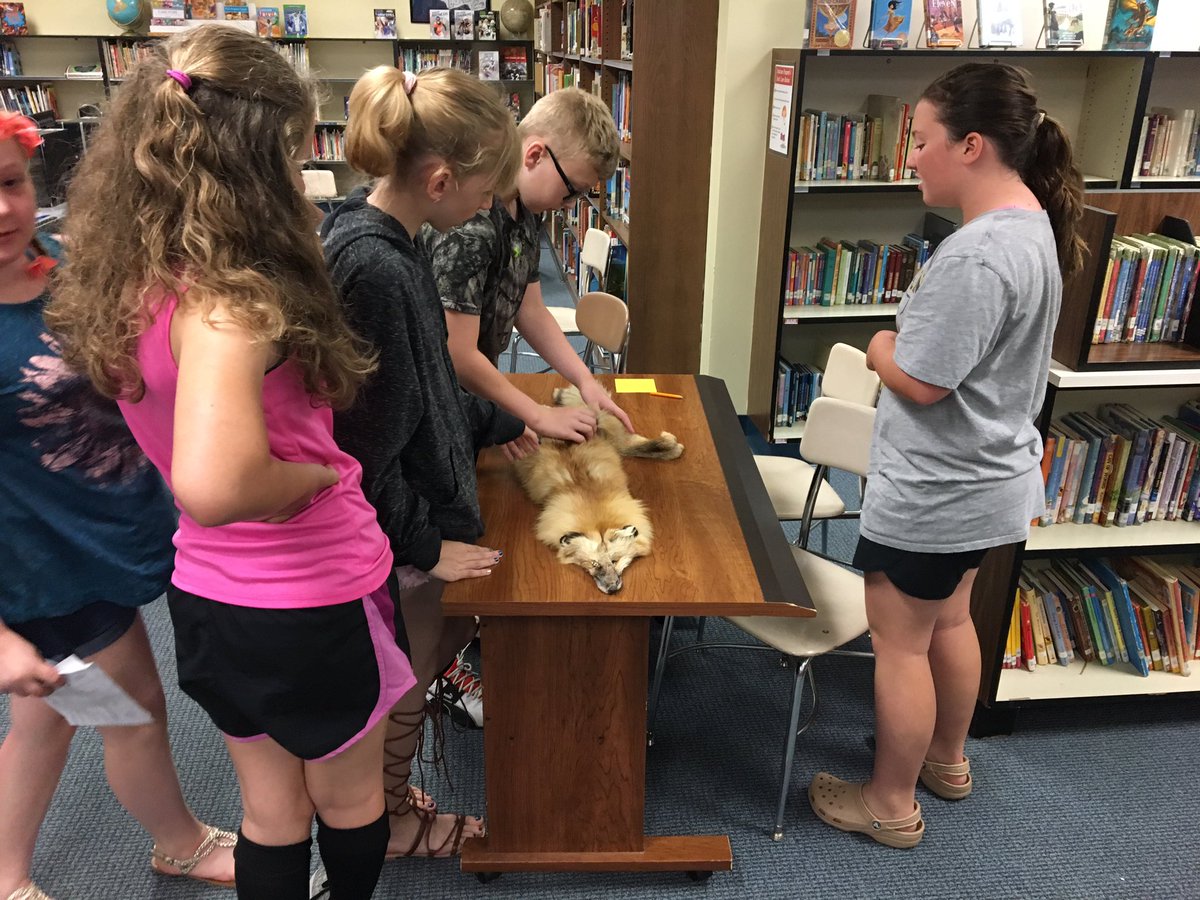 SDJill's tweet photo. Last day of school for South Davis students. Fun stations with the Buffalo Museum of Science! Animal adaptations & CSI! #bfloscience #opcsd https://t.co/0mZe9WF9ab