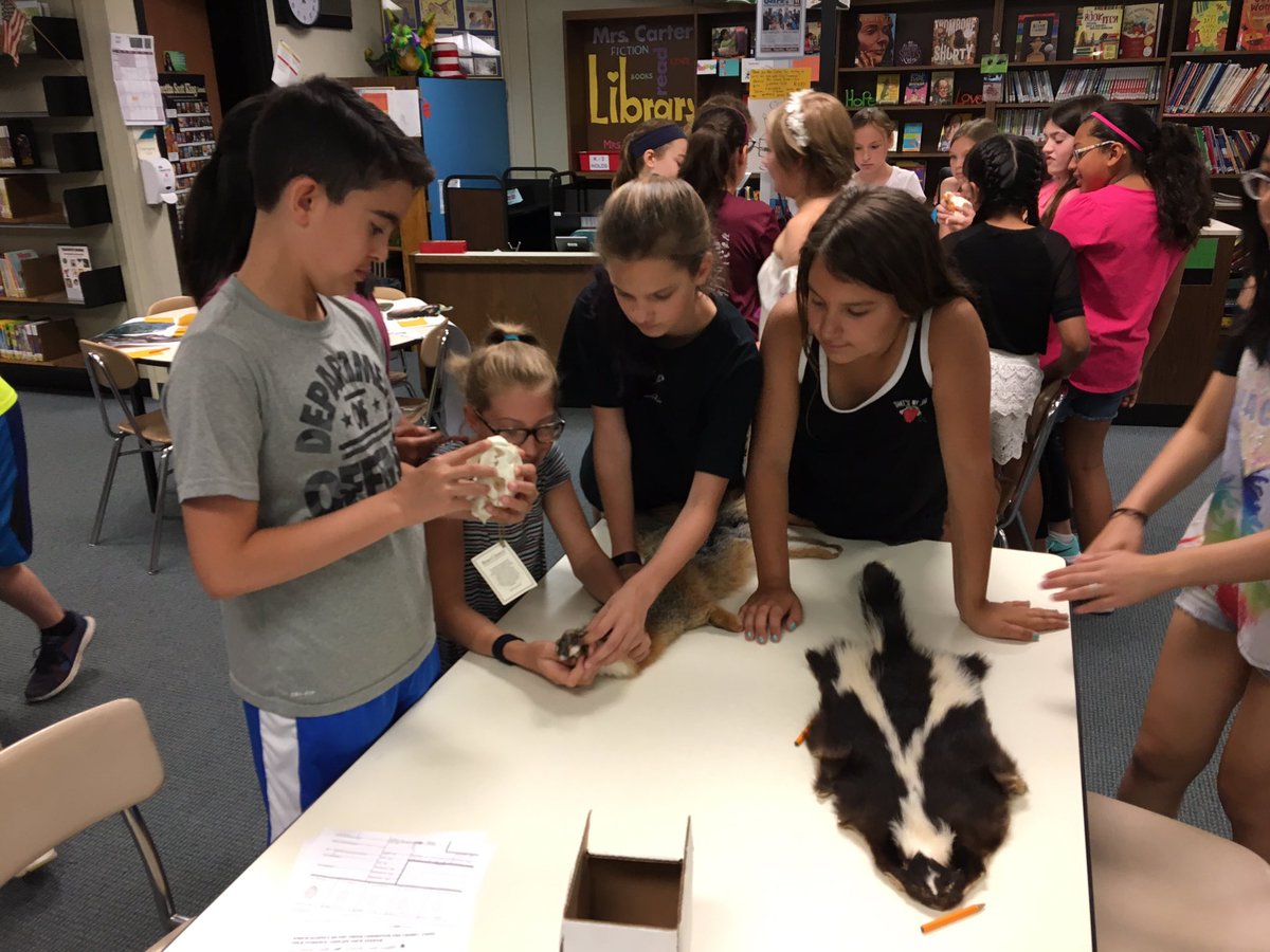 SDJill's tweet photo. Last day of school for South Davis students. Fun stations with the Buffalo Museum of Science! Animal adaptations & CSI! #bfloscience #opcsd https://t.co/0mZe9WF9ab