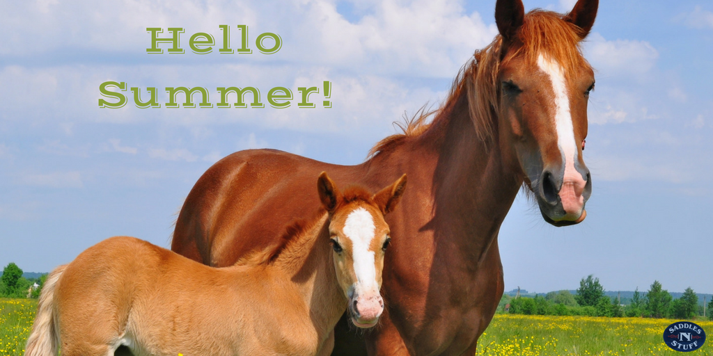 Saddles 'N Stuff (SaddlesNStuff85) Twitter