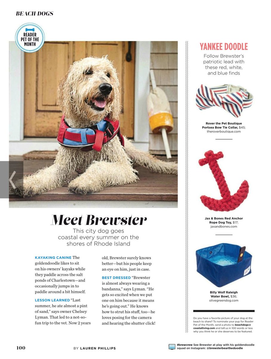 beach billy dog supply