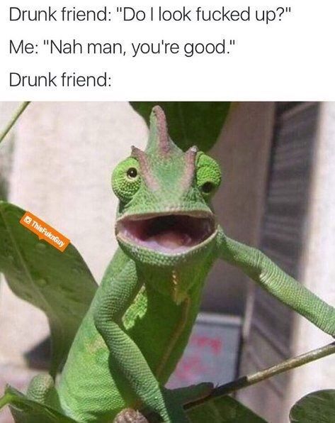 CauseWereGuys's tweet photo. You're good... https://t.co/3k7l1IHujY