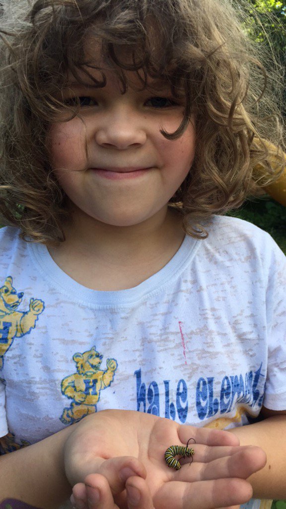 Summer exploring! #haletoday <a href="/principalfitz5/">Ryan Fitzgerald</a> <a href="/MsWalkes_Hale/">Marissa Walkes</a>