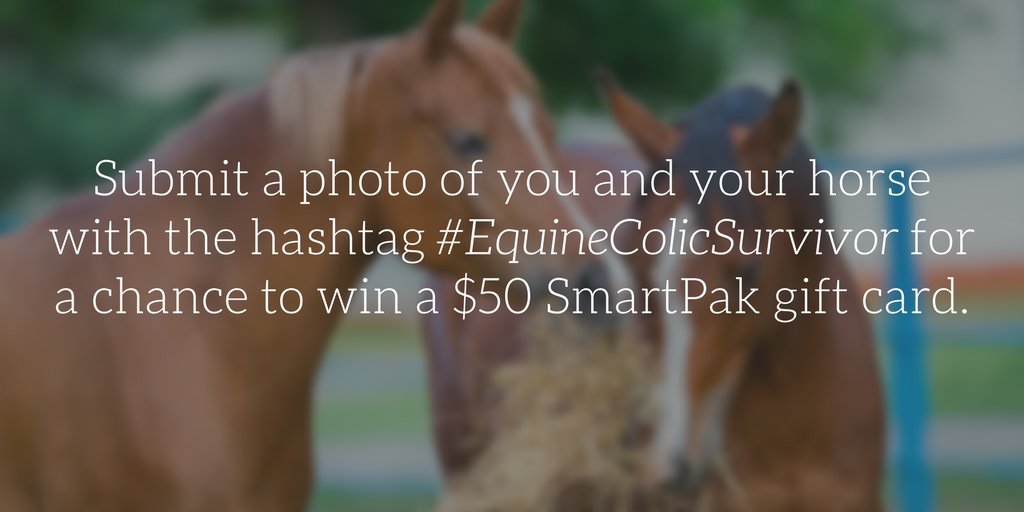 ColicCrusade's tweet photo. It's #EquineColicAwarenessMonth! Enter our photo contest for a chance to win a $50 @SmartPak gift card. https://t.co/sjmjVg5ggJ https://t.co/lgKJnmAgZ5
