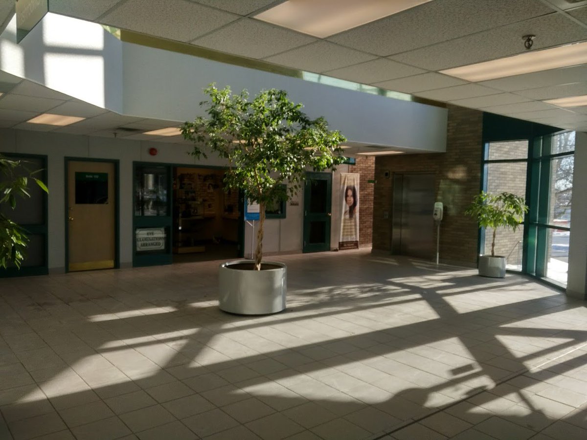 Melchior Management tweet media