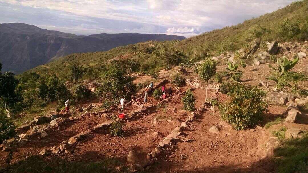 bon_mario's tweet photo. #ServicioAgricolaVoluntario protege suelo para #AgriculturaFamiliarCampesina a través de construcción de #TerrazasdeCultivo en #Zapatoca https://t.co/SdCA1VuCdG
