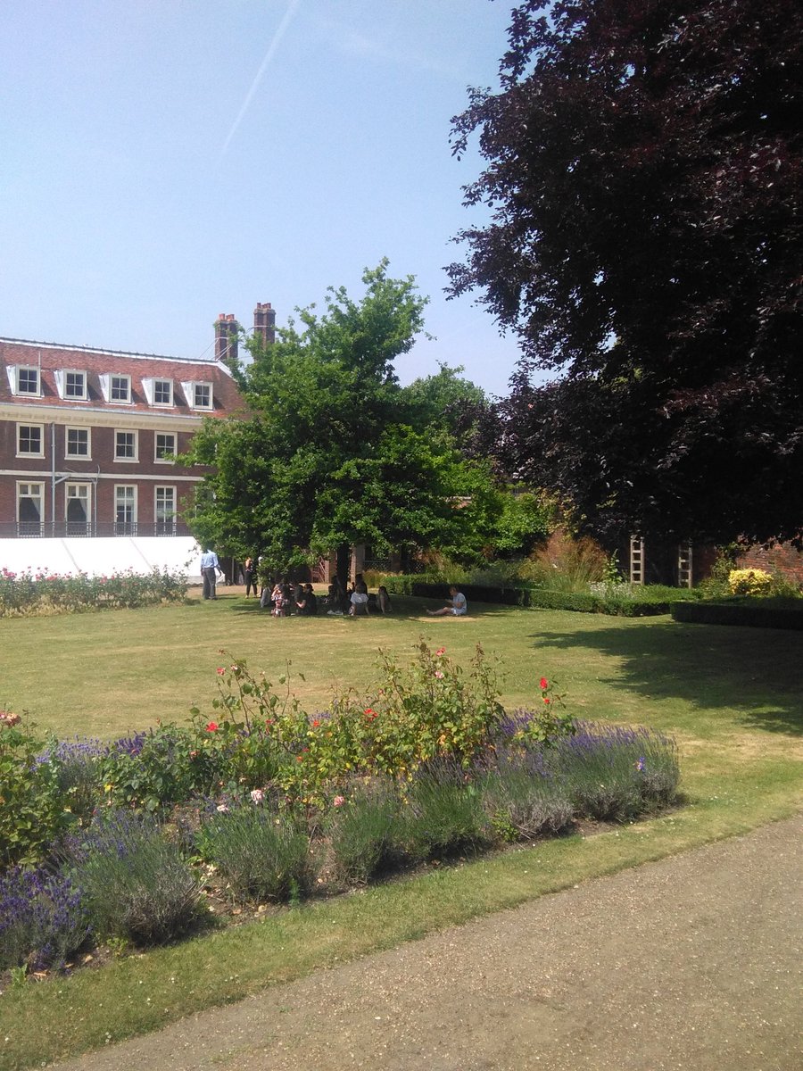 Rosie Clarke tweet media