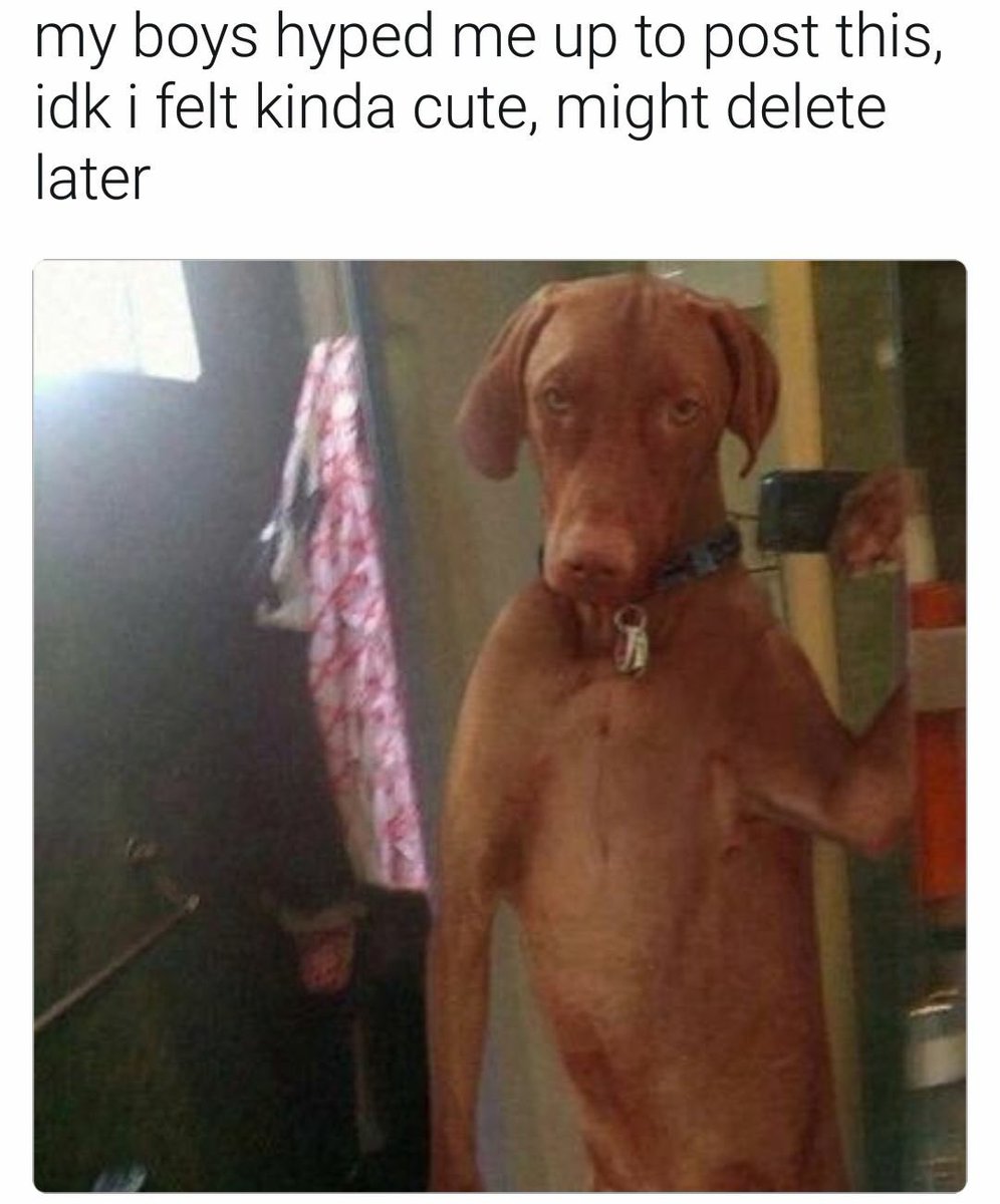 iprobablyh8chu's tweet image. So accurate 😂