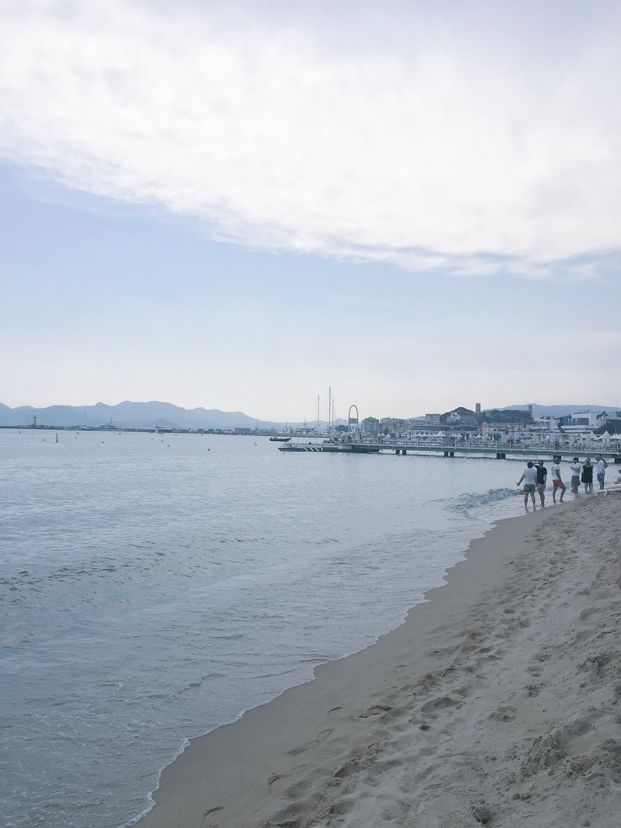 Emily Winiker tweet media