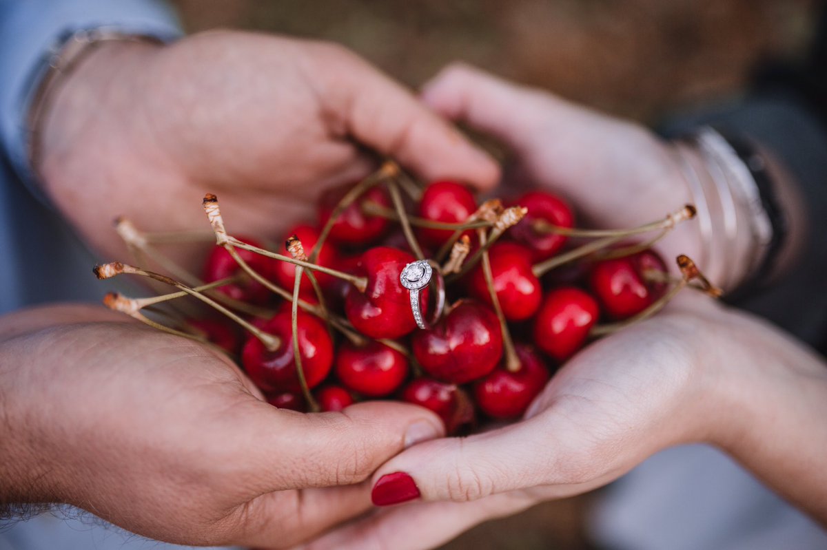 🍒 SI QUIERO 🍒😜

enfok2.com

#bodas #wedding #WeddingPlanner #amor #blogdebodas #BodasdeCuento2017 #destinationwedding