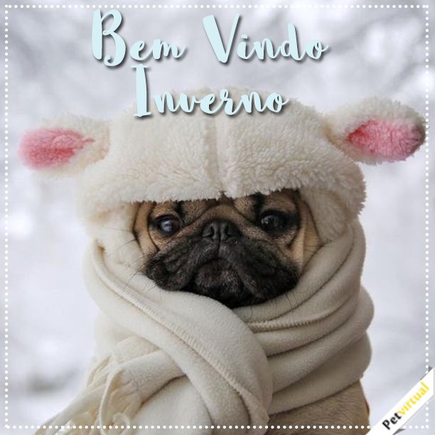 Pet_Virtual's tweet image. Hoje se inicia a nova estação, fique atento com o seu Pet!

#petvirtual #inverno #pets