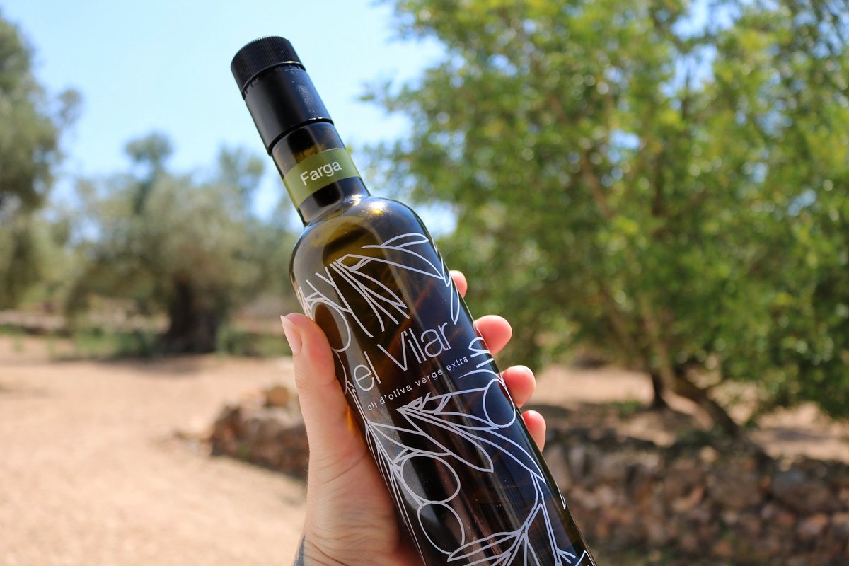 em_luxton's tweet photo. Oh my bloody gosh Catalunya you just have the BEST food 😍😋 and the best olive oil 😄 

#BloggerxCatalunya #wellolive #destinationmakers https://t.co/Ccjv8Neuu1