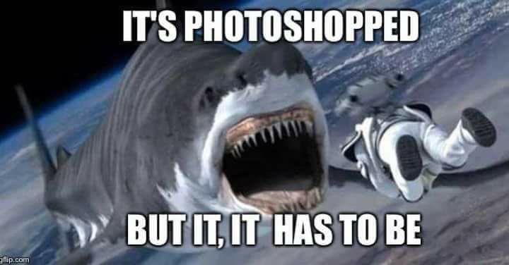 YellingLizard's tweet image. 