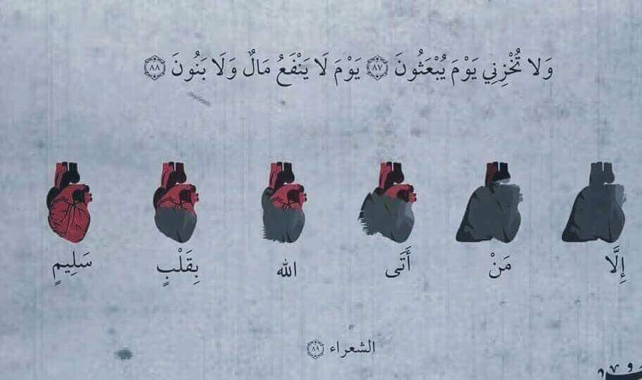 AdelAliBinAli's tweet photo. " إِلَّا مَنْ أَتَى الله بِقَلْبٍ سَلِيمٍ " https://t.co/bMiN3Iqtiv