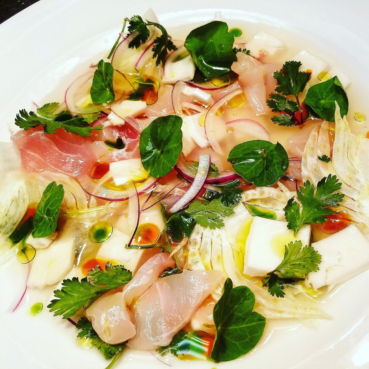 IanVest's tweet photo. Crudo of wild striped bass, coconut, cilantro, chili oil, fennel, squeeze of orange, olive oil @back40kitchen #chefianvest #raw #organic https://t.co/91SPxYYNeS