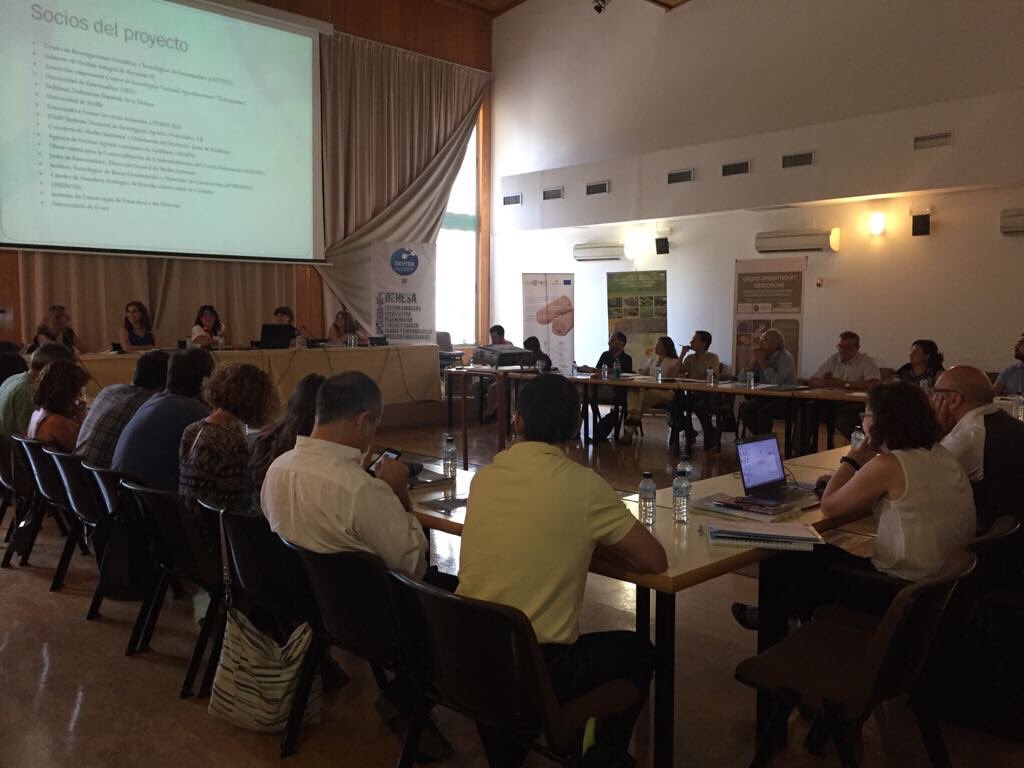 Instituto INDEHESA tweet media