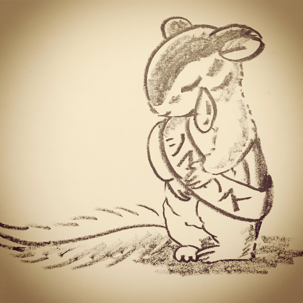 Uzivatel Little Shop 福士悦子 Na Twitteru おやすみリス 1日1