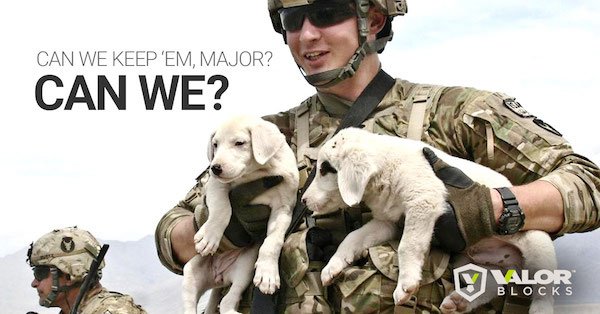 ValorBlocks tweet media