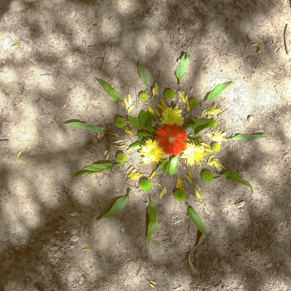 ShamansMarket's tweet photo. Solstice Blessings! #SummerSolstice https://t.co/gwsH4vhY3d