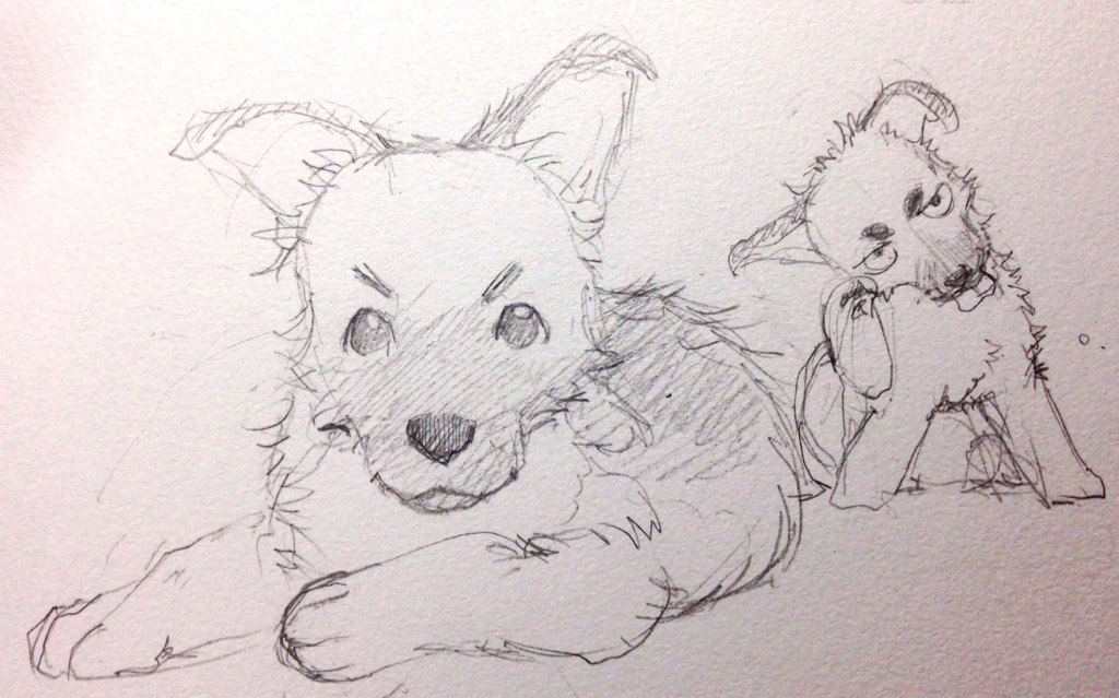 そういや描いたことなかった気がするルドルフさんの子犬時代…と思って描いてみたのだけど、オマケで描いたグスタフ兄がキモいですごめんなさいww 