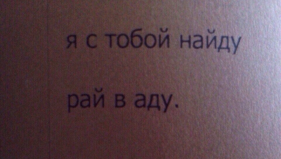 Литература (@literabook) on Twitter photo 