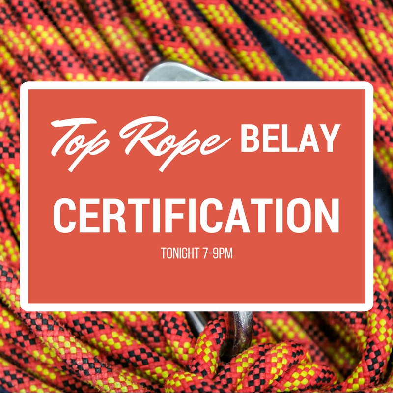 Gravity Vault tweet media