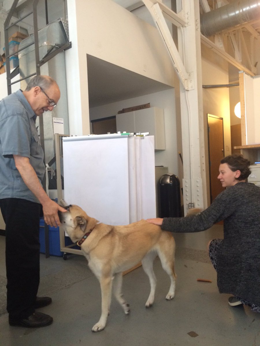lentdesign's tweet photo. #therapyDog @BWA_arch #SitStayFocusOnWork https://t.co/8iEA6KNiOr