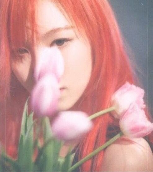 wendysgdrs's tweet photo. — I'll spend forever
     wondering if you knew
     I was enchanted to 
     meet you. https://t.co/ZfxecYnDlp