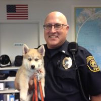 View image on Twitter View image on Twitter