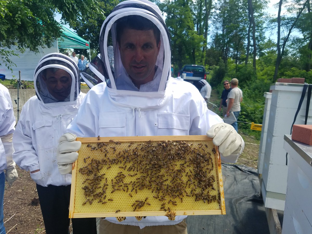 MattBeatonEEA's tweet photo. It's pollinators week. Proud of @MassDeptAgr @MassDCR @MassDFG  partnership to plant pollinator plants! It's all the buzz. Couldn't resist! https://t.co/zINyXj5Pk0