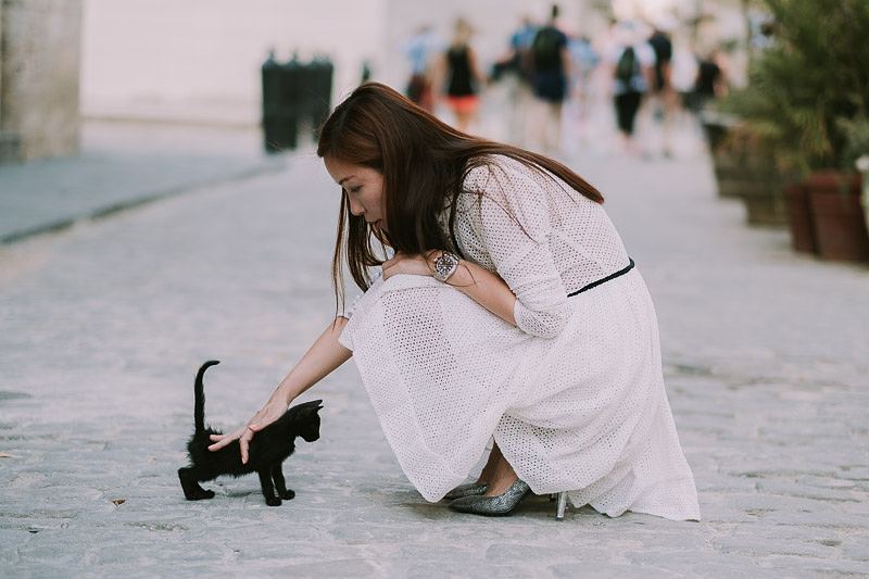 IvanBotelloFoto's tweet photo. Spreading some #catlove today <3 ... #cuba🇨🇺 #cubaphotography #cats #strycat #streetphotography #engagementphotos https://t.co/D5NrtE7fYE